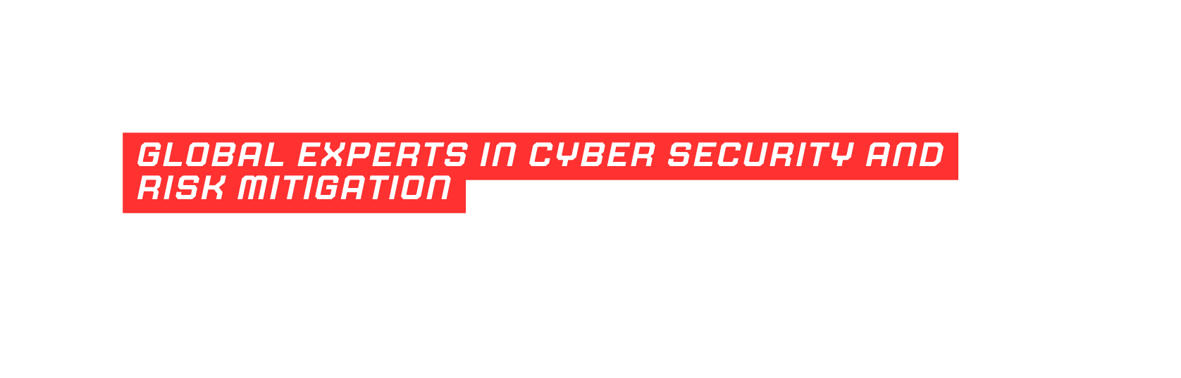 Global experts in cyber security and risk mitigation